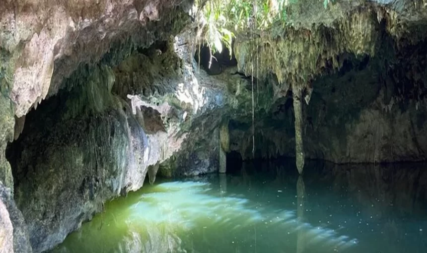 Cenotes Cozumel 2024