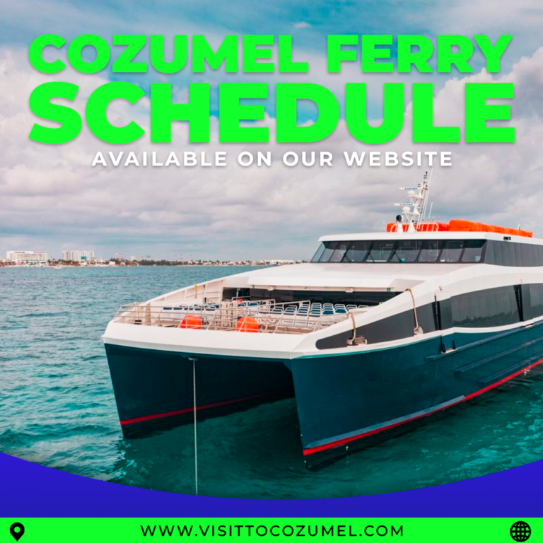 horarios ferry 768x768